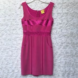 EUC AYSHA Pink Silk Fitted Dress Sz4